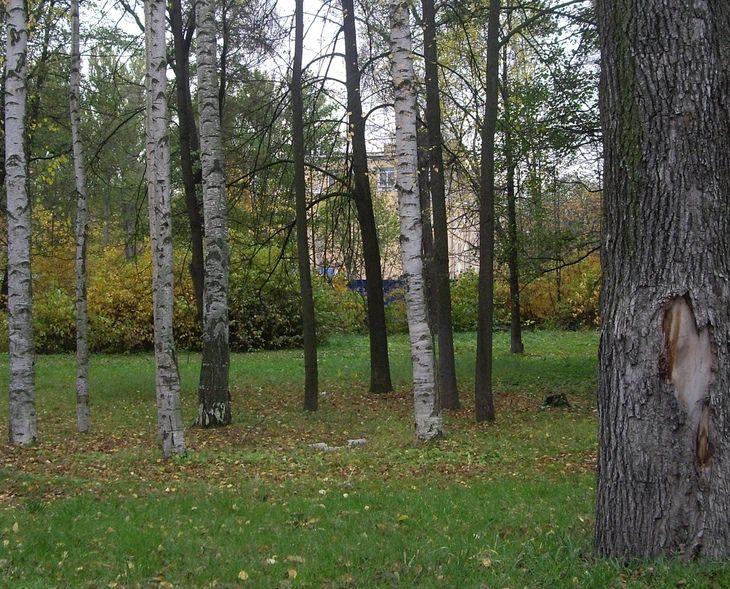 ВНИИРПА им. А.С. Попова ВНИИРПА им. А.С. Попова