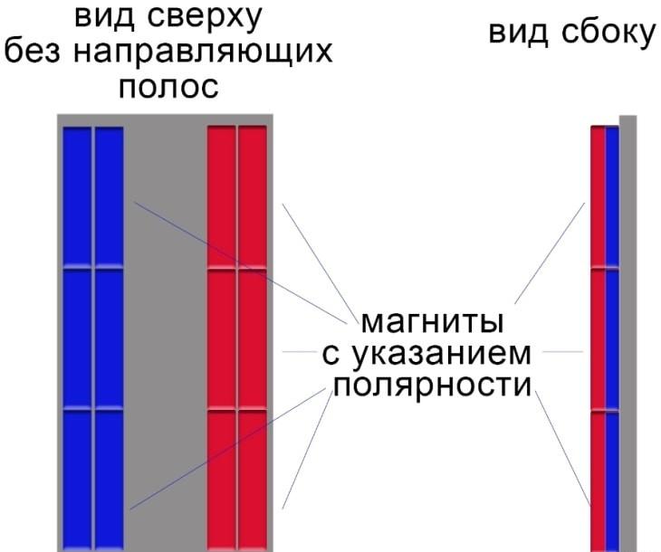 Ленточные пищалки по-воронежски в собственном соку Ленточные пищалки по-воронежски в собственном соку