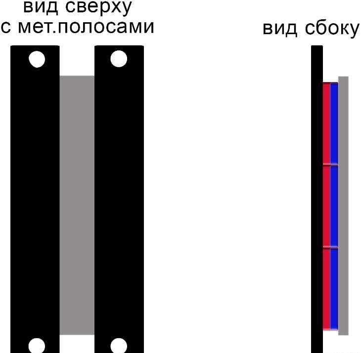 Ленточные пищалки по-воронежски в собственном соку Ленточные пищалки по-воронежски в собственном соку