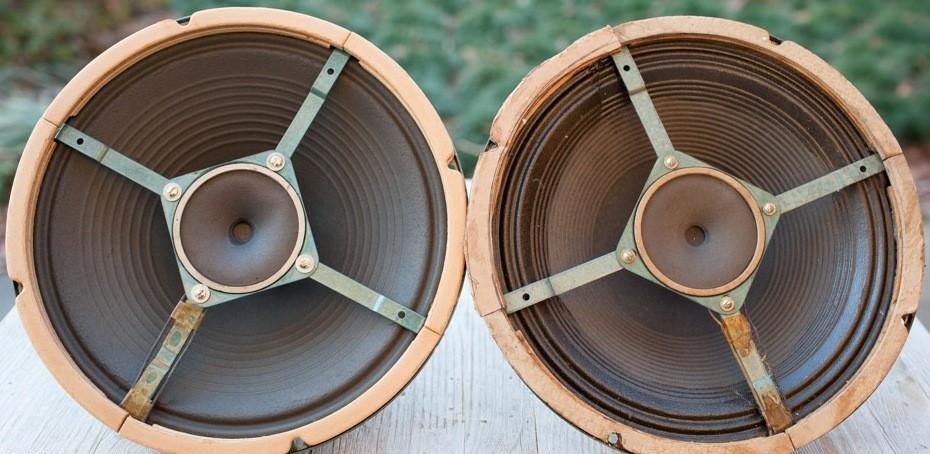 Consolidated Coaxial Speaker