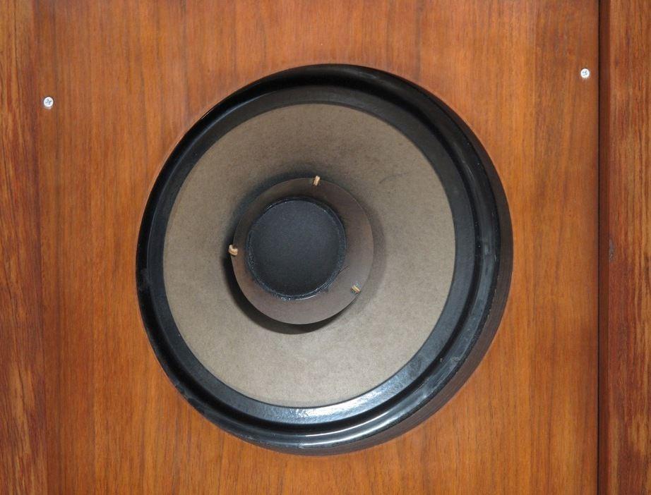 Goodmans AXIOM 301