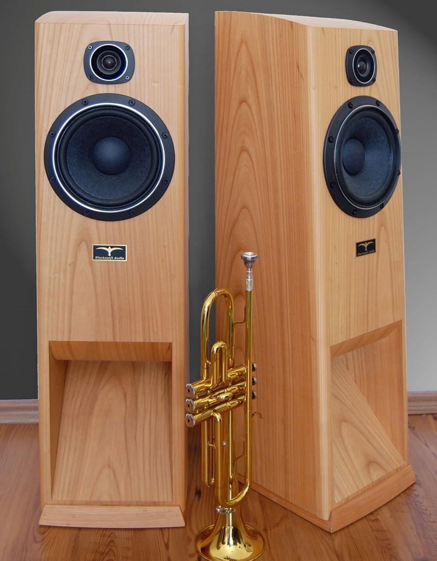 «Capri Horn» с рупорным оформлением НЧ (Fostex FW-208N + FT28D) «Capri Horn» с рупорным оформлением НЧ (Fostex FW-208N + FT28D)