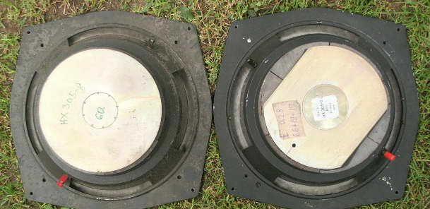 Beag HX 305-8