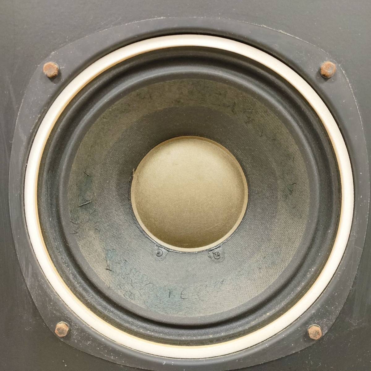 Diatone SS-300